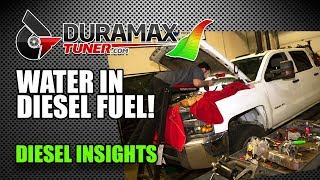Catastrophic Diesel CP4 Carnage - Diesel Insights