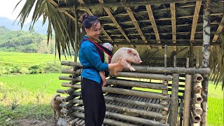 Go with your son to harvest corn to sell. Buy piglets to raise. Daily life of a young mother