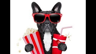 CRUNCHY LITTLE Q_RELATED BYTES