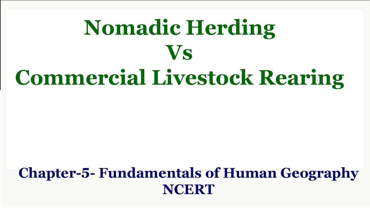 Nomadic Herding Vs Commercial Livestock Rearing | Chapter 5 Fundamentals of Human Geography