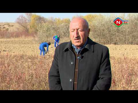 Günün tələbi - 07.12.2021