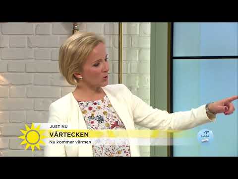 Värmebeskedet - här blir det 20 grader i helgen - Nyhetsmorgon (TV4)