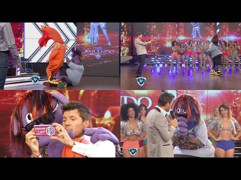 Showmatch 2014 - Arturo the Bear returned to Showmatch and made fun of Tinelli's health.