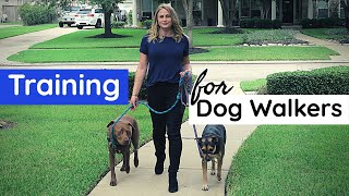 Training You NEED to be a Dog Walker