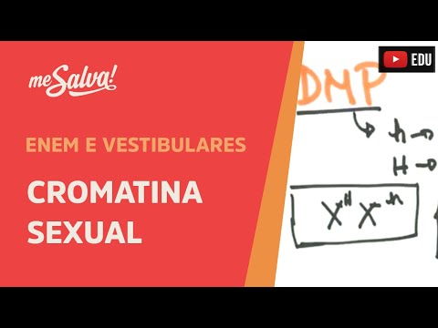 Me Salva! GEN20 - Genética - Cromatina Sexual