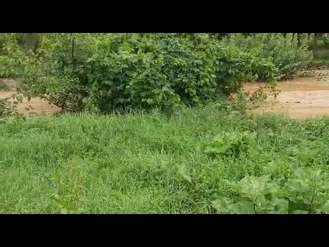 Apa la Vermes, Caraș-Severin