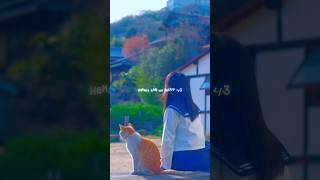 Download lagu Hamara haal na pucho 🥺😐| whatsapp status | status video | sad | lofi songs | #shorts #ytshorts #sad mp3 Download lagu Hamara haal na pucho 🥺😐| whatsapp status | status video | sad | lofi songs | #shorts #ytshorts #sad mp3