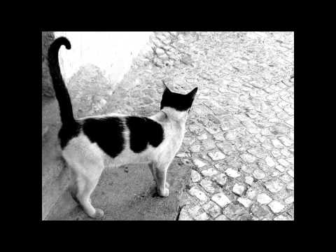 Maleshevski Melos - Nesatov's Sa-Sa