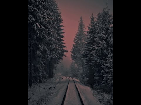 (free) Lebanon hanover x Post Punk x Dark Wave Type beat - "freezing"