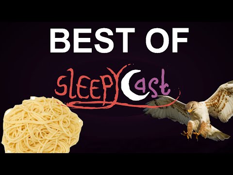 Best of SleepyCast - Hawk Hour & Spaghetti Birds