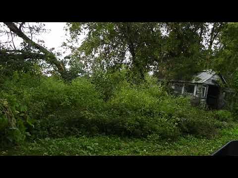 Red Neck Tree cuting with sawzall downs big Tree.