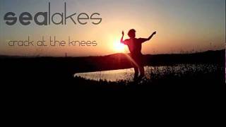 Sealakes-Crack At The Knees (2011)