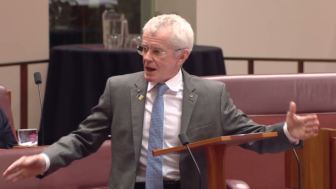 One Nation’s Fight to Save the NDIS