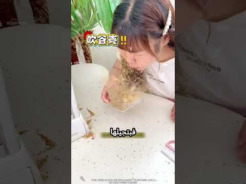 بتحط أكل للعصافير بس بتحصل مشكلة #viral