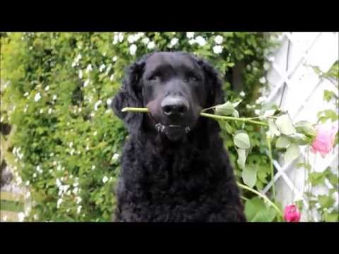 {$row[$i]['name'], ENT_QUOTES,'utf-8'); ?>