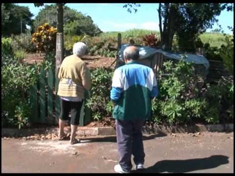 resgate da cadela cristal da upa