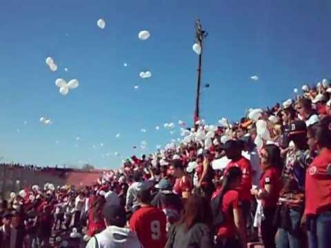 festa xavante Brapel 351