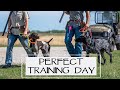 You Asked We Answered - Tips For A Successful Bird Dog Training Day - Episode 35: Part 1
