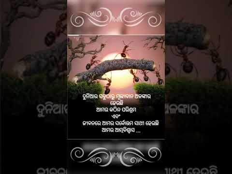 anuchinta in odia|odia quotes! ant story... #shorts #short #anuchinta #nitibani #odia #viral