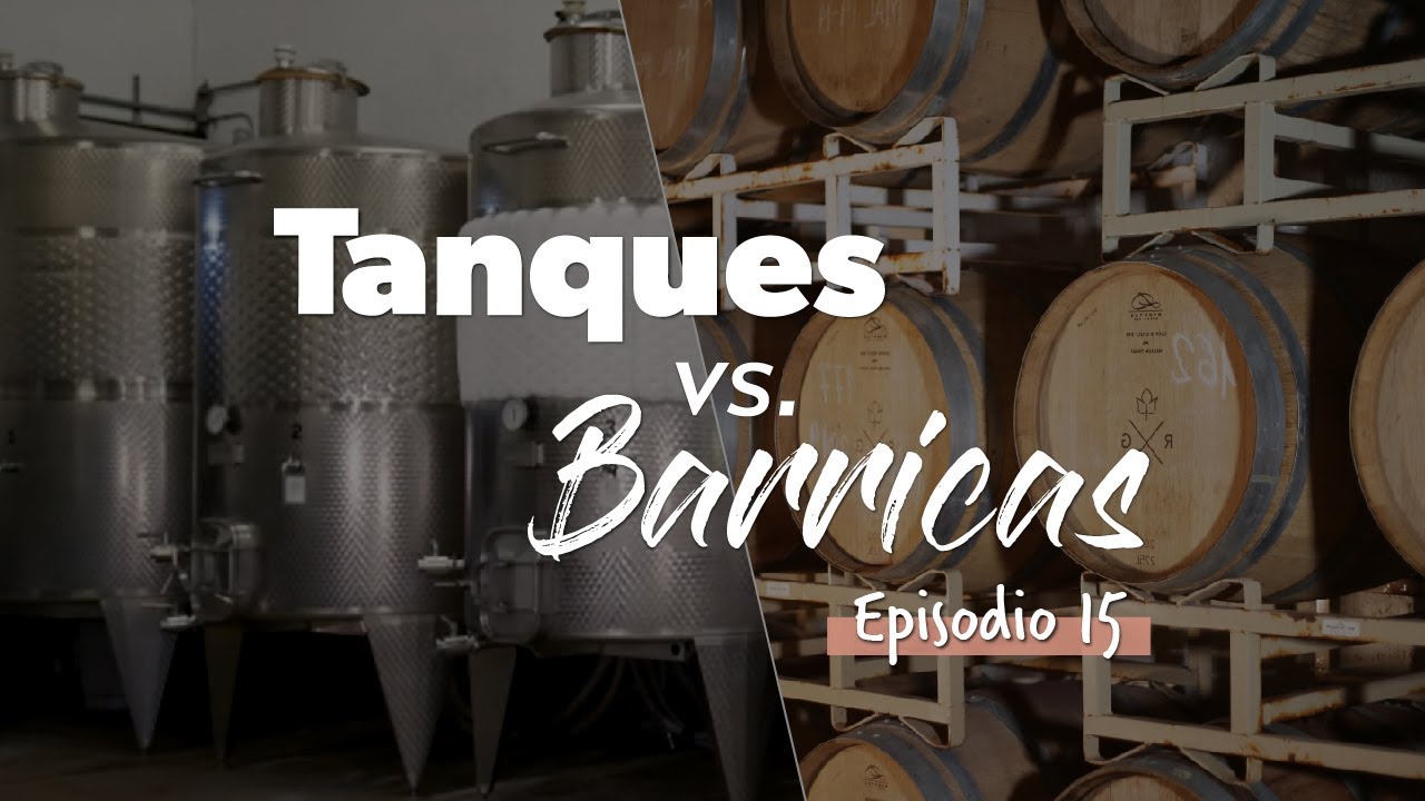Watch Añejar un Vino | Tanque de Acero VS Barrica de Madera Now Añejar un Vino | Tanque de Acero VS Barrica de Madera