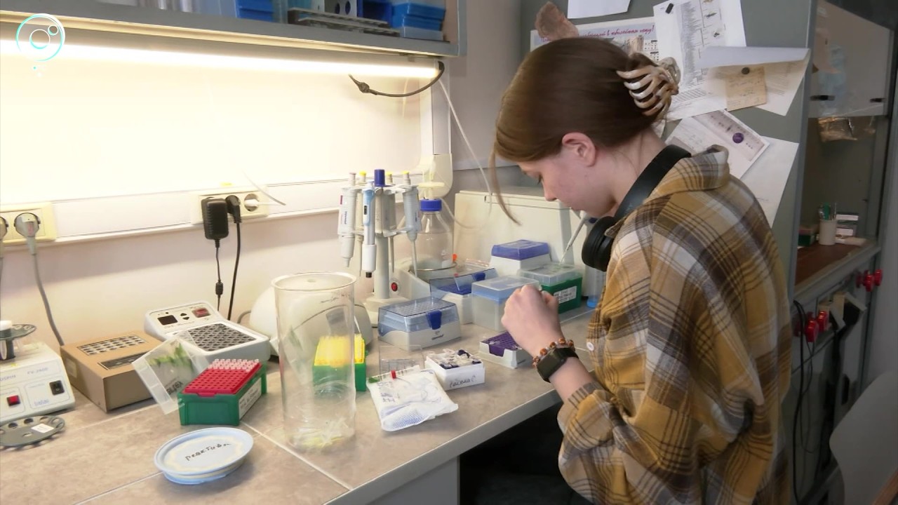 Uncovering the Secrets of Siberian Shamans: DNA Study Reveals