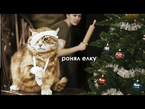 Новогодние проказы наших любимцев. С озвучкой