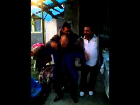 Ravasitul oilor la Dragomiresti Ilfov