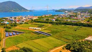 They Left America to Start a Farm on Abandoned Land in Japan