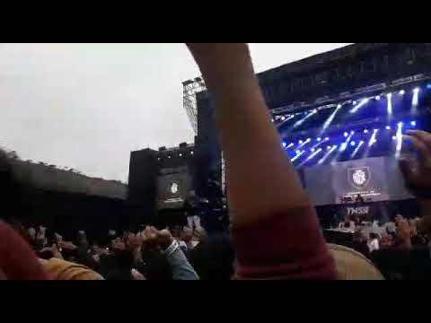 Domin vs chuty vs mecha vs spectro