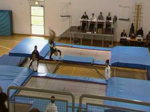 erigozzi 2010-11 lib