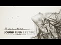 Sound Rush Lifetime Stormerz Remix Q Dance Presents SPEQTRUM