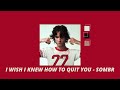 1 Hour Loop I Wish I Knew How To Quit You Sombr