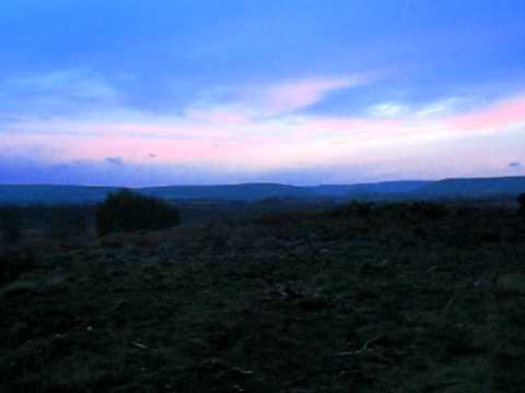 Dusk on Hartland Moor