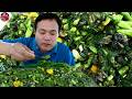 ลาบเทาหอยจุ๊บ เครื่องปรุงหลายๆ ของ�