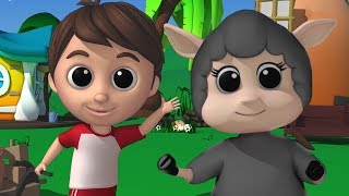 Download lagu baa baa domba hitam lagu untuk anak-anak sajak pembibitan Preschool Song Baa Baa Black Sheep mp3