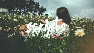 Chelsea Cutler - Scripts (Lyric Video)