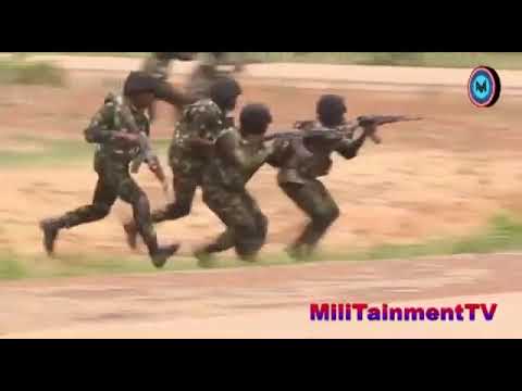Nigerian gallant troops were ambushed. Nigerian Soldiers
