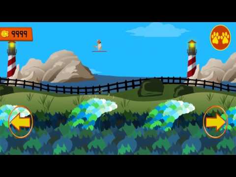 Cat Tsunami: Surf's Up Video