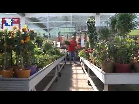 Hagebaumarkt Barth GmbH & Co. KG aus 18356 Barth, Branche: Baumärkte