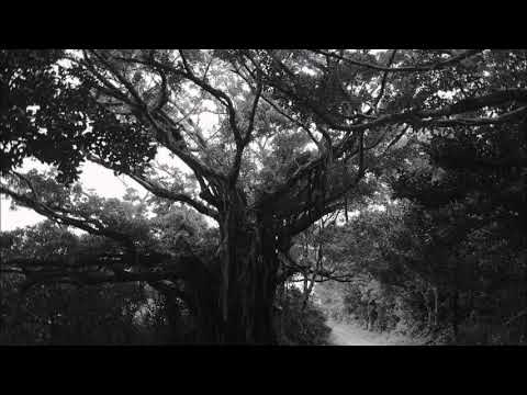 Yaima - Gajumaru (Stefan Biniak Private Edit)