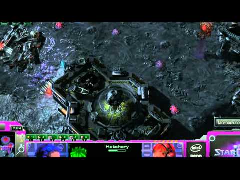Stephano (Z) vs TLO (P) - g2 IEM World Championship 2013