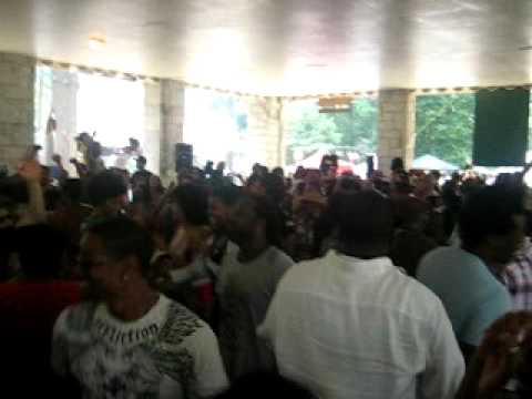 House In the Park 5--ATL  DJ Salah Ananse