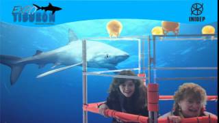 DIA 3 Expo Tiburon200