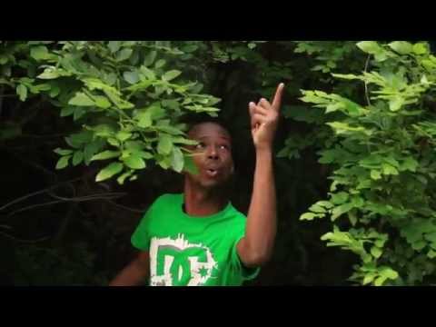 Fizzy F1 x Ezee-Sebenza