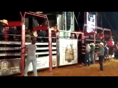 Edivaldo Antônio Filho vcs catira do Galego