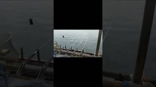 Download lagu dilihat dosa ga dilihat barang bagus π mp3 Download lagu dilihat dosa ga dilihat barang bagus π mp3