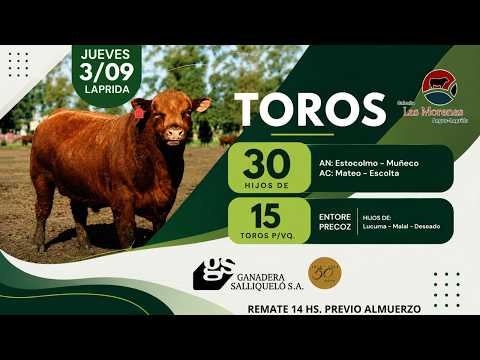 REMATE DE CABAÑA LAS MORENAS( LAPRIDA PCIA DE BS AS)