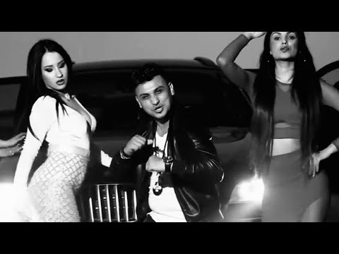 Marius Olandezu și Dani Printul Banatului - E la modă 🎼