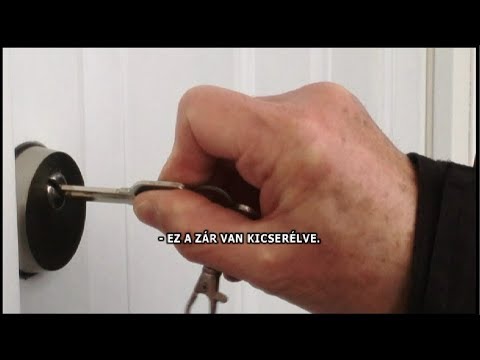 PANASZKÖNYV - problémás albérlő