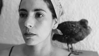 Polvo de Gallo - Trailer